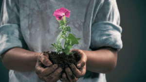Aardemagie – Laat je wensen uitkomen met planten